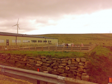 Holmside Hall
